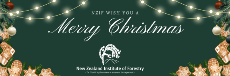 NZIF Christmas Banner